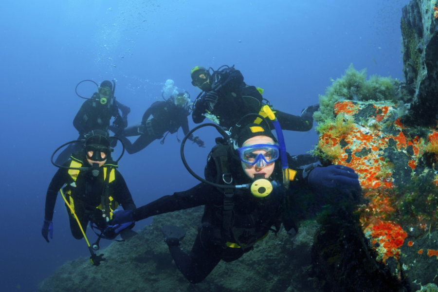 GROUP SCUBA DIVING WITH +9 WATERSPORTS