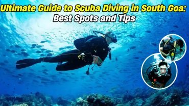 Ultimate Guide to Scuba Diving in South Goa: Best Spots and Tips