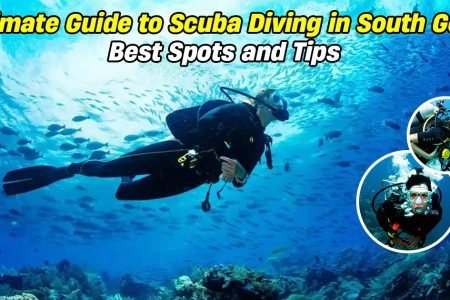 Ultimate Guide to Scuba Diving in South Goa: Best Spots and Tips