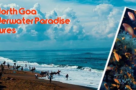 Scuba Diving in North Goa: Exploring an Underwater Paradise   The Sea Adventures