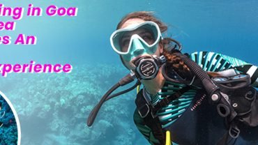 Scuba Diving in Goa with The Sea Adventures An Indelible Aquatic Experience 