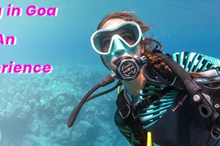 Scuba Diving in Goa with The Sea Adventures An Indelible Aquatic Experience 